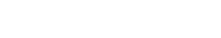 Midnight Patriots